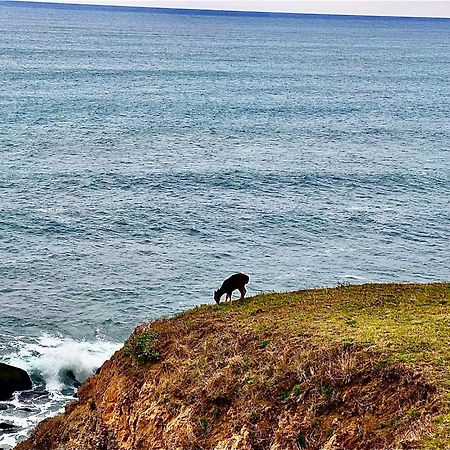Inn Of The Lost Coast Shelter Cove المظهر الخارجي الصورة